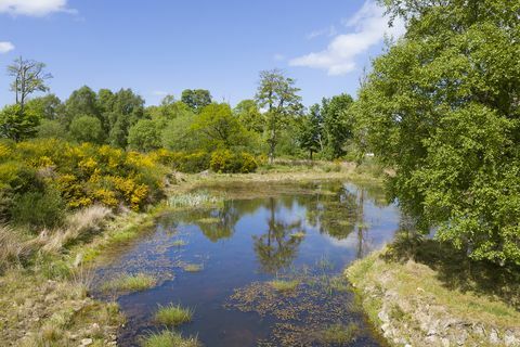 aberdeenshire में बिक्री के लिए गुलाबी महल