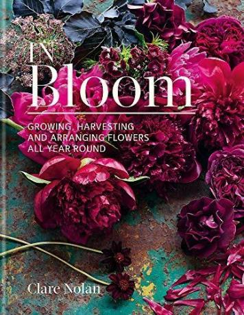 ब्लूम में: पूरे वर्ष फूलों को उगाना, कटाई करना और व्यवस्थित करना