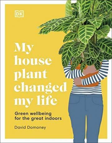 माई हाउस प्लांट ने मेरी जिंदगी बदल दी: महान घर के अंदर के लिए हरी भलाई