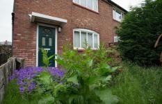 आसान तरीके आपका गार्डन आपके घर के मूल्य में £ 5,000 जोड़ सकता है