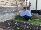 नई पुष्प परियोजना बुजुर्ग पड़ोसियों के लिए फूल उगाती है