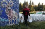 इस रूसी महिला ने अपना घर उन्नत किया... 30,000 बोतल कैप्स के साथ